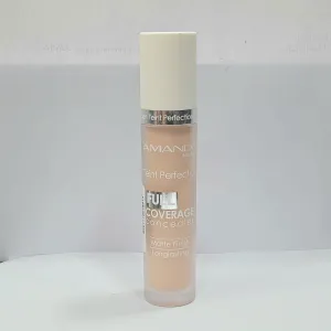 Amanda teint perfection concealer full coverage 02