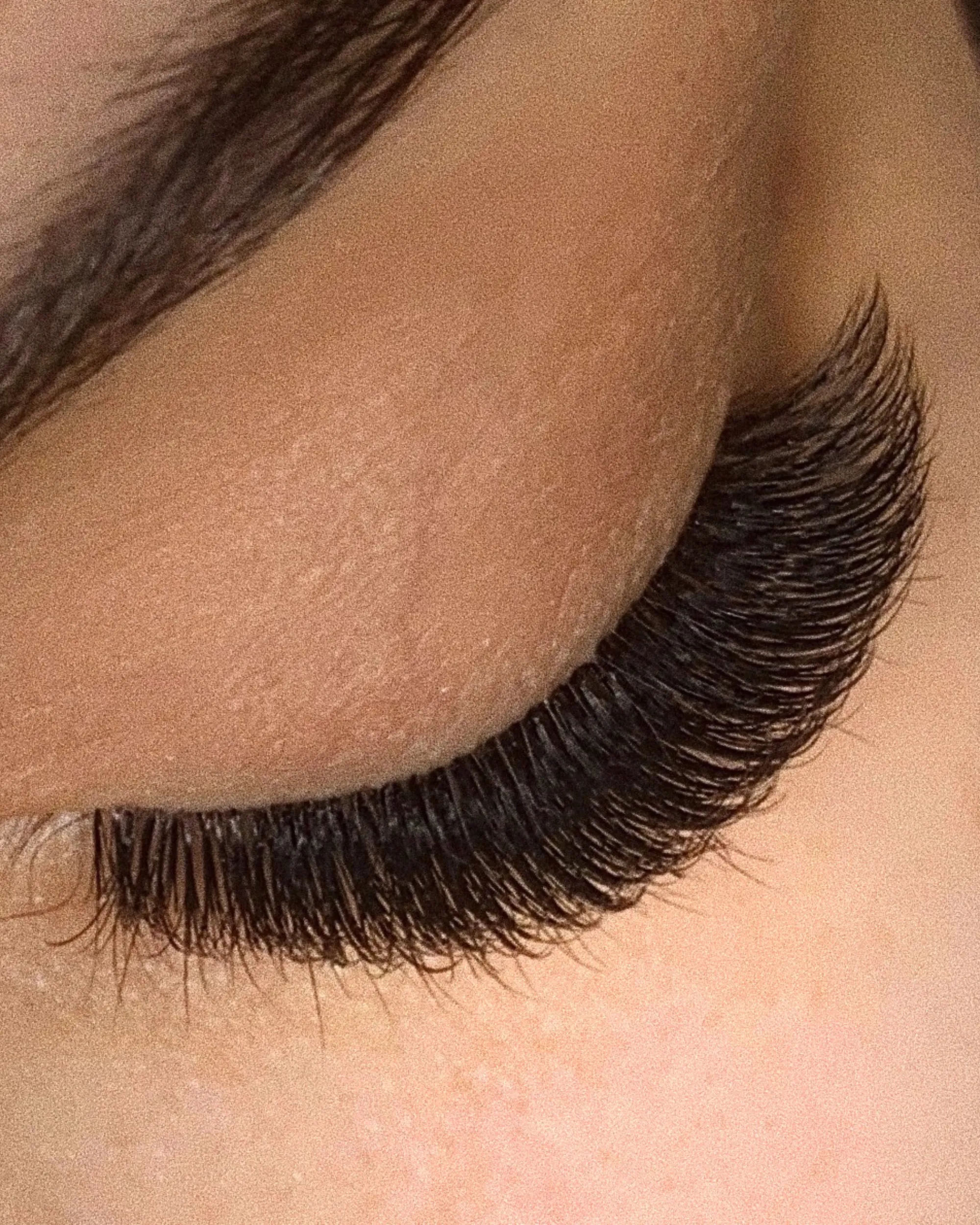 L-Curl Plush Lashes (Multi-Length Trays)